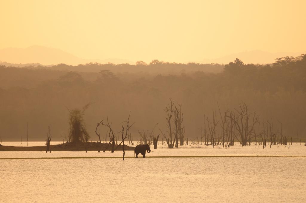 Готель Evolve Back Kabini Begur Екстер'єр фото