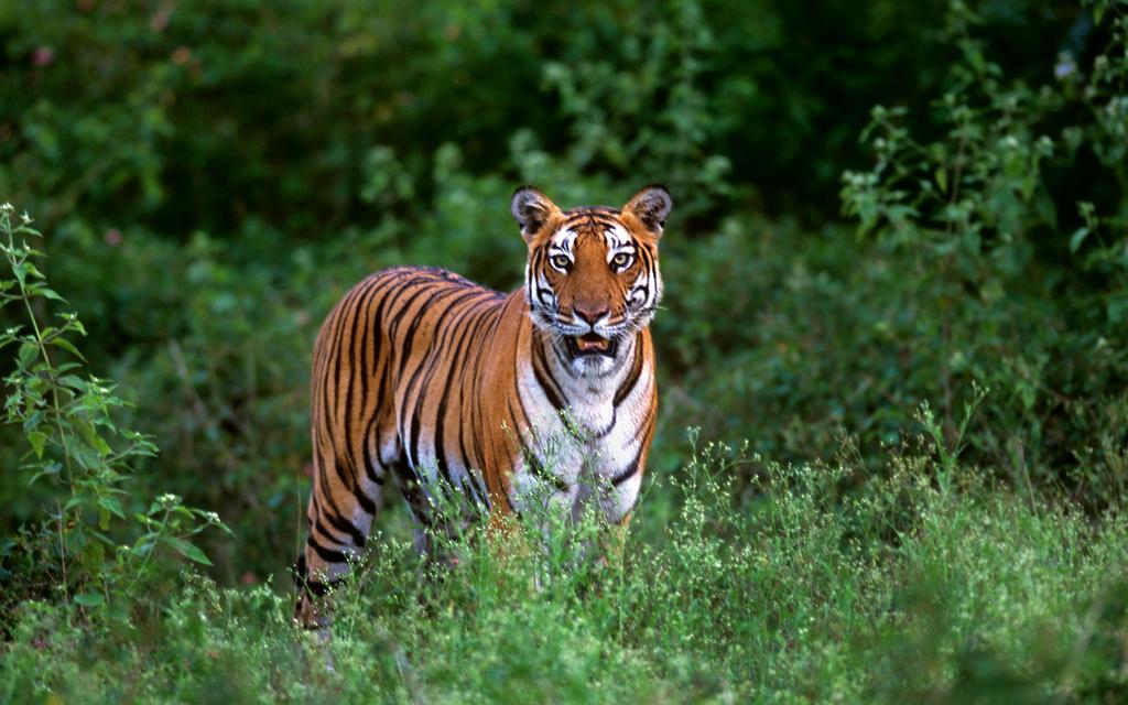 Готель Evolve Back Kabini Begur Екстер'єр фото